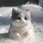 VFZ Taba Mèo Mập Dễ Thương Mèo Cam Sang Trọng Mềm Mại Stiy Girl Trẻ Em Quà Tặng Sinh Nhật Fidget Squishy Đồ Chơi Đồ Trang Trí Thú Cưng Quà Tặng OTE