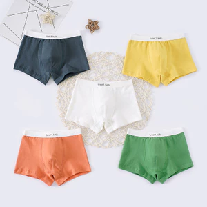 Quần Lót Cotton Cho Bé Trai Và Trẻ Em, Kích Thước Từ Kích Thước Nhỏ Đến Kích Thước Lớn, Nhà Máy Hàng Có Sẵn Bán Buôn.