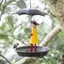 JCSYFAC Treo Chim Ăn Cho Ngoài Trời Cô Gái Và Ô Chim Ruồi Khay Ăn Bên Ngoài Cho Chim Tắm Trang Trí Sân Trang Trí Mới