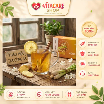 [COMBO 5 HỘP] Trà Túi Lọc Gừng Sả Ladophar Ladotea – Hộp 20 Túi x 2g - Trà thảo mộc thiên nhiên, hương gừng sả thơm dịu