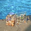 Hộp Trưng Bày Từ Tính Acrylic Trong Suốt 12x12cm - 36 Ô 1.5x1.5cm, Dùng Đựng Vỏ Sò, Đá Quý