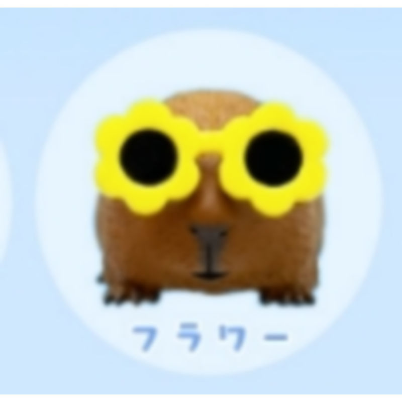 [BTF] Hàng có sẵn Nhật Bản Qitan Gashapon Kính râm Guinea Pig Guinea Pig Hamster Bán thứ hai dễ thương K8F3