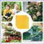 Vỏ chậu cây Giấy 10 miếng Bảo vệ vừa vặn chặt 19.6x19.6Inch Giấy gói chậu cây cho người làm vườn tại nhà mueadsyvn