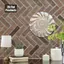 HELLOYOUNG Vintage Shell Gỗ Nghệ Thuật Treo Tường, Xoắn Ốc Mẹ Ngọc Trai Trang Trí, Handmade Tròn Nhà Quà Tặng