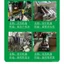 Độc Quyền Cho 1cm Velcro 10mm Băng Velcro Thú Cưng Búp Bê Quần Áo May Phong Cách Đường May Viền Viền Bấm Viền Velcro FESE