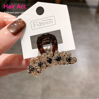 Phong Cách Mới Lúa Mì Tai Nhỏ Lấy Kẹp Influencer Bên Kẹp Kim Cương Trán Tóc Gãy Đầu Lưng Nữ Nửa Đầu Tóc Kẹp Tóc