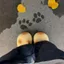 Dép Mèo CHEESELY, Kitty Mules Ấm Áp Chống Thấm Nước, Len Đóng Lưng Đáng Yêu Nâng Cao Đáy Dép Mèo Ngoài Trời Trong Nhà