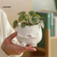Linh hồn| Chậu Hoa Mini Trang Trí Cây Chữa Bệnh Trang Trí 3d In Hình Ấm Hoa Dễ Thương Trang Trí Bền Pla Để Bàn Giá Đỡ Thực Vật Cho Mọng Nước Trang Trí Văn Phòng Nhà Cho Đông Nam