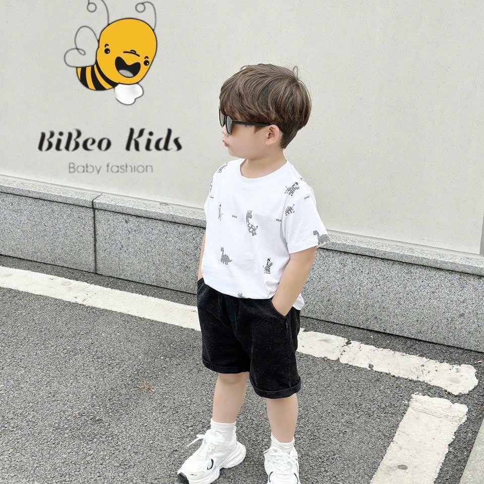 Bộ quần áo COTTON IN TRẦN ZEBRA CHO BÉ TRAI, Bộ quần áo đi học đi chơi cho bé