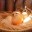 HFTOY Sáng Tạo Shiba Inu Thực Tế Hình Trứng PVC Trang Trí Bàn Làm Việc Trang Trí Cho Chó & Trứng Cho Văn Phòng Tại Nhà Quà Tặng Giáng Sinh Vui Vẻ ~