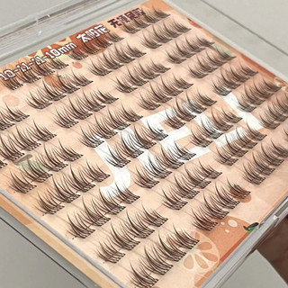 JIELI Lông Mi Giả Lông Mi Màu Nâu 8Mm Không Cần Keo Nhìn Hoa Hướng Dương Tự Nhiên Thích Hợp Cho Người Mới Bắt Đầu Lông Mi Ngăn Đơn