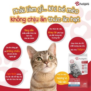 Thức Ăn Hạt Cho Mèo Felipro 1kg Vị Hải Sản