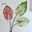 Linh hồn| Lá giả lâu trôi Lá nhân tạo Thân lá Alocasia nhân tạo – Cây xanh nhiệt đới giả thực tế cho đám cưới Trung tâm Bình gia đình Trang trí hoa tự làm