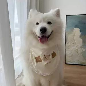 Thú Cưng Chó Nước Bọt Khăn Yếm Dễ Thương Lớn Vừa Chó Nhỏ Samo Golden Retriever Alaska Yếm Yếm Yếm