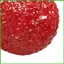 Bóp Fidget Đồ Chơi Dễ Thương Thư Giãn Khuôn Tiện Ích Người Lớn Bóp Đồ Chơi Fidget Ball Cho Bé Trai Bé Gái Học Sinh Người Lớn saixit2vn