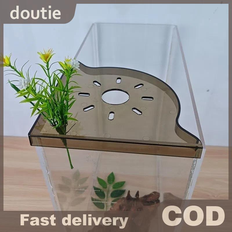 Doutie Giá Để Đồ Góc Bể Cá Không Đục Lỗ Giá Để Đồ Bể Cá Top Phong Cảnh Giá Đỡ Thủy Canh Cây Xanh Khay VN