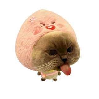 móc khoá mèo trái cây dễ thương