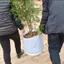 JCSYFAC Tròn Vải Chậu Trồng Túi Thực Vật Hộp Đựng Rễ Trồng Chậu Trồng Cây Túi Mới