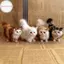 Hodou Dễ Thương Mô Phỏng Mèo Sang Trọng Đồ Chơi Nhồi Bông Mềm Mèo Con Mô Hình Mèo Giả Động Vật Thực Tế Cho Trẻ Em Bé Gái Sinh Nhật Quà Tặng Ngày Lễ Tình Nhân VN