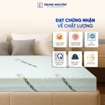 Nệm massage cao su non Trung Nguyên kết hợp memory foam cao cấp với mousse foam, êm ái, hỗ trợ đau nhứt xương khớp — ảnh 8