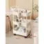 Salon Làm Đẹp Xe Đẩy Y Tế Cao Cấp Chuyên Dụng Xe Đẩy Kệ Nhựa Dụng Cụ Chăm Sóc Giá Để Đồ Dụng Cụ Xe Đẩy TEWI