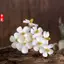Hoa Khô Tím Nhỏ Hoa Cúc Cửa Hàng Hoa Sắp Xếp Hoa Handmade Tự Làm Chất Liệu Bó Nhỏ Bao Bì Phụ Kiện Trang Trí Cảm Giác Cao Cấp