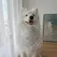 Chó Nước Bọt Khăn Chó Yếm Trung Bình Lớn Chó Mũ Chống Nước Bọt Khăn Chow Satsuma Golden Retriever Arah Yếm