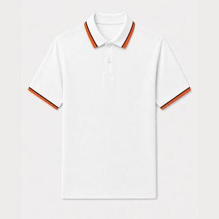 8 MÀU ÁO POLO PHỐI VIỀN VẢI THUN CÁ SẤU POLY