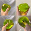 Lấy cảm hứng từ Apple Bóp Ball Soft Clear Jelly Toy Hoàn hảo để làm việc Giảm căng thẳng và chơi giác quan