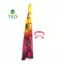 Diều bướm cầu vồng 90 * 55cm Diều trẻ em có thể gập lại ngoài trời có dây điều khiển 50M [mới]