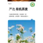 Mì Soba hữu cơ không chứa Gluten Mì treo Mì ăn liền không chứa lúa mì Tangyou Foods Hashimoto Thực phẩm Soba nguyên chất 26.5.12