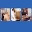 Thiết bị hỗ trợ đầu gối lò xo phục hồi mạnh mẽ Bộ tăng cường đầu gối thoáng khí chống trượt Bộ ổn định lò xo có thể điều chỉnh Hỗ trợ khớp [mới]