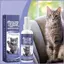 Xịt chống trầy xước mèo 50ml Bảo vệ nội thất tự nhiên Stay Away Cat Anti Scratch Spray cho thảm Couch mueadsyvn