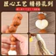 Bóng Tình Yêu Hericium Đầu Vòng Tay Nam Seiko Khắc Walnut Gỗ Khắc Hạt Vòng Tay Nữ Cặp Đôi