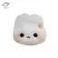 HFTOY Hoạt Hình Biểu Hiện Dễ Thương Thỏ Sang Trọng Móc Khóa Búp Bê Kawaii Mặt Dây Chuyền Bapa Treo Trang Trí Chìa Khóa Ô Tô Phụ Kiện Dành Cho Bé Gái Quà Tặng ~