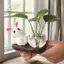 Maybest Thỏ Dễ Thương Bình Thủy Canh Bình Thủy Tinh Trong Suốt Để Bàn Trang Trí Bình Hoa Thủy Sinh Có Đế Gỗ {VN}