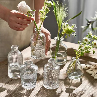 🌟Pháp Retro Nổi Kính Mini Bình Nhỏ ins Phong Cách Trong Suốt Thủy Canh Hoa Sắp Xếp Bình Để Bàn 0GYT
