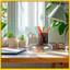 Bể cá Cá Bình hoa trong suốt Bình thủy sinh Tròn Terrarium Chậu trồng cây Bát khxinggao