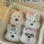 West Highland Terrier Puppy Móc khóa Túi búp bê nhồi bông mềm mại sang trọng dễ thương Vòng chìa khóa Mặt dây chuyền nữ Quà tặng sinh nhật cho bé gái [Mina]