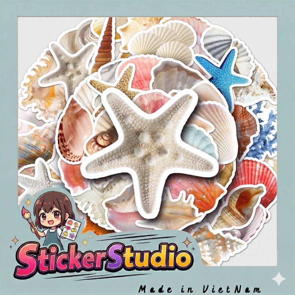sticker các vỏ ốc và sinh vật biển