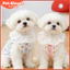Sợi Cotton Xuân Hè Thú Cưng Ren Áo Thoáng Khí Mỏng Phong Cách Chó Mèo Quần Áo Thú Cưng Nhà Quần Áo Teddy Bichon