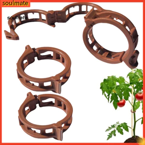 Linh hồn| Kẹp hỗ trợ cây leo leo Kẹp hỗ trợ cây bằng nhựa bền Kẹp cây leo – Giá đỡ hỗ trợ cây nho mạnh cho sân vườn Sửa chữa thân cây đa chức năng cho Southeas