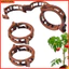 Linh hồn| Kẹp hỗ trợ cây leo leo Kẹp hỗ trợ cây bằng nhựa bền Kẹp cây leo – Giá đỡ hỗ trợ cây nho mạnh cho sân vườn Sửa chữa thân cây đa chức năng cho Southeas