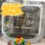 YHMBY3949 Lồng Chim Gạc Gạc Che Chống Bắn Chống Lông Vũ Chống Rải Rác