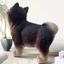 Đáng Yêu Chó Husky Nhựa Tượng Chống Thấm Nước Nhựa Động Vật Điêu Khắc Để Trang Trí Kệ Phòng Khách