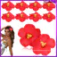 Hoa Hawaii Thân Giả Confetti Giả Luau Trang Trí Đám Cưới Hoa dâm bụt