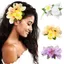Chân tóc hoa Hawaii PYCOU, Kẹp tóc hoa Boho ngọt ngào tươi, Móng vuốt tóc hoa nhân tạo thời trang Đa năng Frangipani Kẹp mỏ vịt Đạo cụ ảnh cho kỳ nghỉ