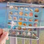 Hộp Trưng Bày Từ Tính Acrylic Trong Suốt 12x12cm - 36 Ô 1.5x1.5cm, Dùng Đựng Vỏ Sò, Đá Quý