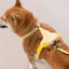 Dây kéo cho chó Nhỏ cỡ vừa Chó chống cháy nổ Đấm dễ thương Dây đeo ngực nhẹ Corgi Bichon Vest Phong cách Chó đi bộ