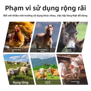 Giết Lợn Máy Tẩy Lông Loại Bỏ Lông Lợn Dụng Cụ Tiện Dụng Cạo Tóc Niu Điện Thép Không Gỉ Cắt Đĩa Máy Đánh Bóng Giết mổ Loại Bỏ Tóc Lợn Dụng Cụ Tiện Dụng L